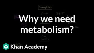 Why we need metabolism  Chemical Processes  MCAT  Khan Academy [upl. by Brader435]