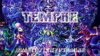 Tempre  Dimethyltryptamine Psychedelic Metal [upl. by Darleen834]