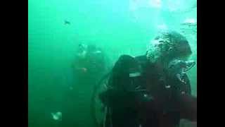 Hackney Sub aqua members diving with seals in the Farne Islands [upl. by Yffub]