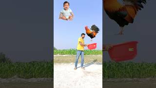 Flying rooster crying baby rabbit duck catching amp eating Parle g vs Roller tractor scooter 🙁 [upl. by Inah]