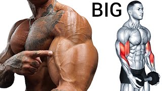 Best Superset Bicep Tricep Workout for Mass [upl. by Lia509]