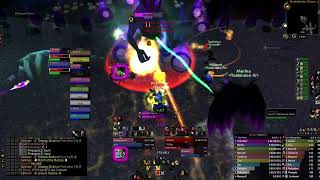 Paladin tanking BFD raid for the first time [upl. by Morley]