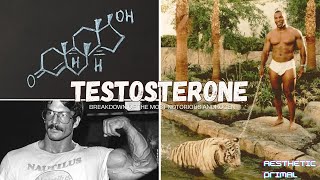 Understanding the intricacies of Testosterone masculinize yourself [upl. by Markman]