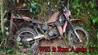 Full Restoration a abandoned Suzuki TS125X Motorcycle [upl. by Gridley]