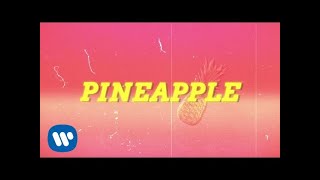 Ty Dolla ign  Pineapple feat Gucci Mane amp Quavo Lyric Video [upl. by Olivero]