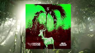 Sofi Tukker  Drinkee Vintage Culture amp John Summit Remix [upl. by Ebag884]