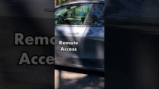 Tesla Start Button 🔒 Remote Access teslafeatures [upl. by Filler108]