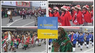 42 Tuttlinger Fasnetumzug am Samstag 02022019 [upl. by Nuy]