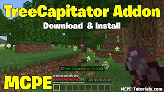 How To Download TreeCapitator Addon for MCPE 121  Get TreeCapitator Addon in Minecraft PE [upl. by Eerised]