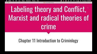 Ch 11 Introduction to Criminology [upl. by Karly]