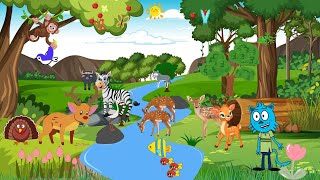 Discover Deers  toddler learning video animals  Deers world  sam show [upl. by Llebyram]