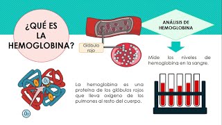 Determinación de Hemoglobina y Hematocrito ‐ Made with Clipchamp [upl. by Hairam659]