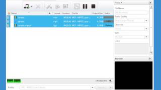 Xilisoft Audio Converter Pro demonstration [upl. by Haimirej]