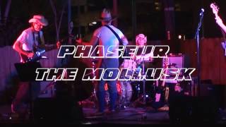 Phaseur  The Mollusk  Ween Cover Song [upl. by Bron]