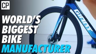 How Giant Became The Worlds Biggest Bike Company [upl. by Close758]