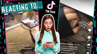 Gecko Owner REACTS TO Leopard Gecko TikToks  IM SHOCKED [upl. by Llabmik635]