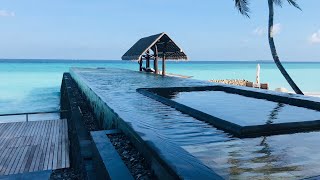 The One amp Only REETHI Rah 🇲🇻 Maldives  The Paradise I will come back soon [upl. by Selry]