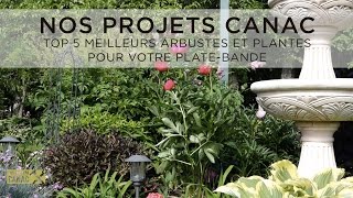 Nos Projets Canac  TOP 5 meilleurs arbustes et plantes pour votre platebande [upl. by Yojenitsirk748]