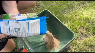 Got Bald Spots Learn How to Reseed Your Lawn [upl. by Lipscomb]