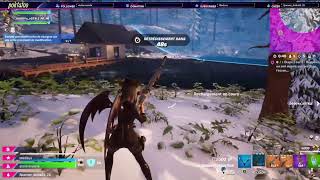 petit fortnite avec mon dog [upl. by Dorena]