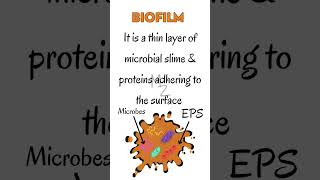 What is a Biofilm in microbiology medzukhruf microbiology biofilm [upl. by Inalel652]