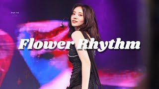 진솔 JinSoul  Flower Rhythm  아르테미스 ARTMS  241112 [upl. by Iggy]