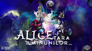 REPETITII ALICE IN TARA MINUNILOR [upl. by Oirad20]