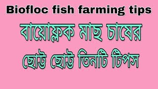 বায়োফ্লক মাছ চাষের ছোট্ট ছোট্ট তিনটি টিপস  Biofloc fish farming tips । [upl. by Catlaina797]