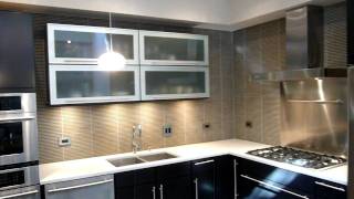 Lincoln Park Chicago Kitchen Renovation by Design Inside [upl. by Ayik696]