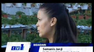 Drama Semanis Janji di TV1  promo 2010 [upl. by Wattenberg]