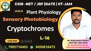 Cryptochrome  Structure Signaling amp Responses  Plant Physiology genesisinstitute [upl. by Trammel]