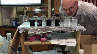 AP Chemistry  Iodine Clock Reaction [upl. by Allenod166]