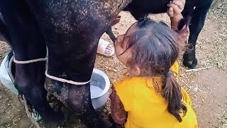 small girl drinking cow 🐄 milkpart 2 [upl. by Atem887]