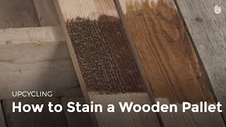 How to Stain Wood  Upcycling [upl. by Wehtam381]