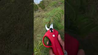 electric scissors easy use save time tool P2019 [upl. by Eahc]