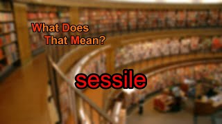 What does sessile mean [upl. by Anjanette]