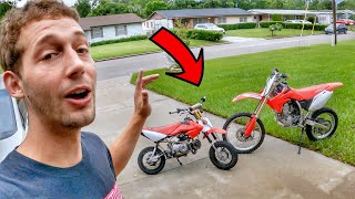 DIRT BIKE VS PIT BIKE Which Do I Prefer [upl. by Hayyim]