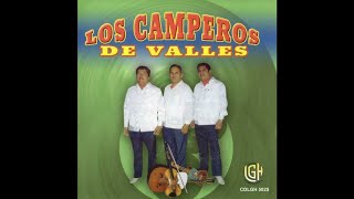 Los Camperos de Valles  La Azucena [upl. by Warchaw]