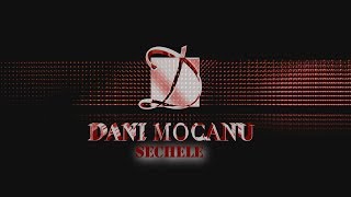 Dani Mocanu  Sechele  Official Audio [upl. by Apollo]