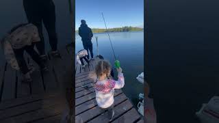 Fishing fishing minnesota fishinglife fisherman fishingtiktoks fishcontent fish mn [upl. by Aisayn]