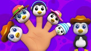 Pingouin doigt famille  comptines  doigt famille chanson  Penguin Finger Family In French [upl. by Tireb]