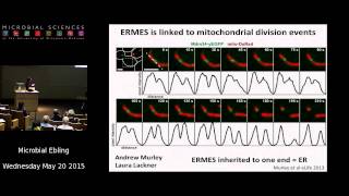 Dr Jodi Nunnari  Mitochondrial Behavior [upl. by Estrella]