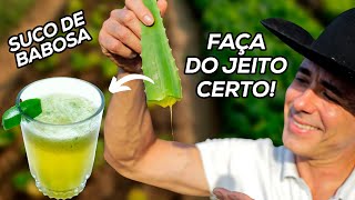 SE EU FOSSE VOCÊ COMEÇARIA A TOMAR SUCO DE BABOSA HOJE  Dr Dayan Siebra dieta emagrecer detox [upl. by Annoyed]