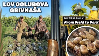 Lov Golubova Grivnaša sa Lokerima WILD Srbija kuhinja Wood pigeon hunt over decoys E209 [upl. by Elspeth686]