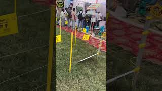 Fencing Wire  MDhillon Vlogs [upl. by Friederike]