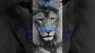 Respektiere ihren Freiraum successmindset motivation millionairesuccesshabits facts lion [upl. by Hemetaf]