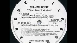 William Orbit  Water From A Vine Leaf Acid Bath Mix [upl. by Christye]