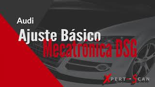 XS 800 PRO  Ajuste básico Mecatrónica DSG  Audi A3 18 T 2010 [upl. by Romeon]