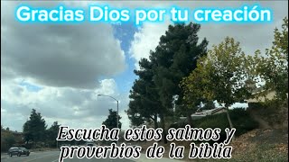 Escucha salmos y proverbios de la biblia mientras contemplas su hermosa creación salmosyproverbios [upl. by Hutchison442]