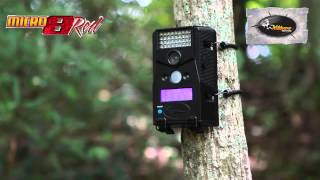 Wildgame Innovations Micro 8 Red Trail Cam [upl. by Amsirhc282]